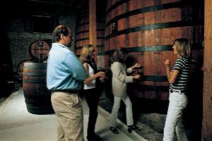 Drinking Toro, in Toro