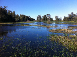 Hunter Wetlands Centre