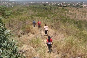 The Hyrax Hill