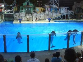 Belgiums Answer to Seaworld