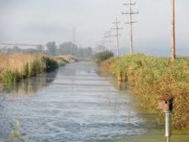 Crow Island State Game Area