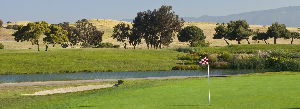 Golf At Shoreline Park