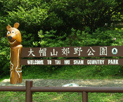 Tai Mo Shan Country Park