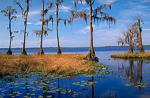 Osceola National Park