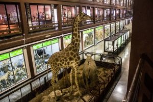 Museum of Natural Sciences El Carmen