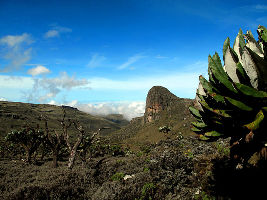  Mount Elgon National Park