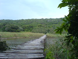 Umhlanga Lagoon Nature Reserve