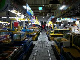 Sorae Pogu Traditional Fish Market