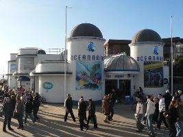 Oceanarium Bournemouth 
