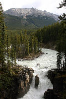 Sunwapta Falls