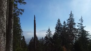 Gottschalkenberg Pass