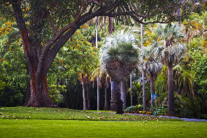 Best 3 Days 2 Nights Melbourne Trip Package