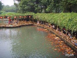 Huanhua Stream Park