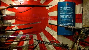 Defence of Darwin Experience