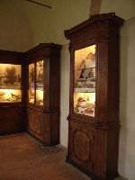 University of Pisa Botanical Gardens