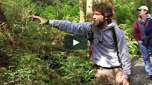 Alaska Rainforest Sanctuary