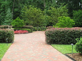 Billy Graham Library