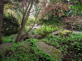 Bellevue Botanical Garden