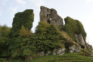 Carrigogunnell Castle