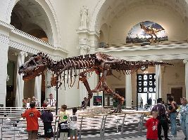 Field Museum of Natural History