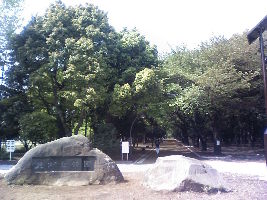 Hikarigaoka Park