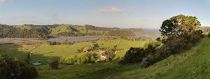 Puhoi
