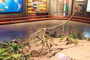  Dinosaur Museum in Zigong