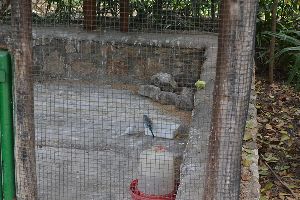 Guadalajara Zoo