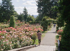 International Rose Test Garden