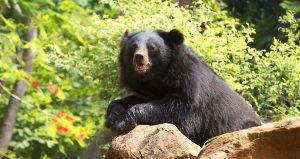 Nature & Wildlife Tours 