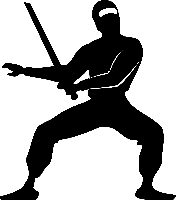 Ninja Museum of Igaryu