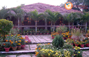 Toshali Sands Ethnic Village Resort