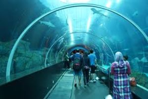 Marine Life Park
