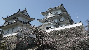 Iga Ueno Castle
