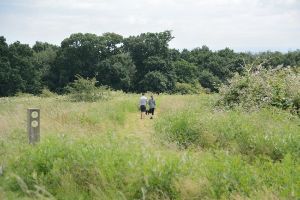 Stanmore Country Park