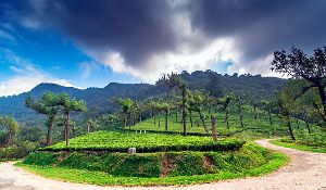Manjolai Hills
