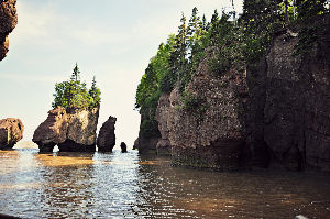 Hopewell Rocks 