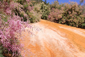 Pinkerton Hot Springs, Durango, CO 