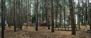 Ben Shemen Forest