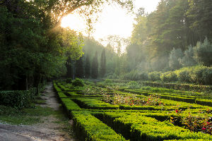 National Forest of the Seven Mountains