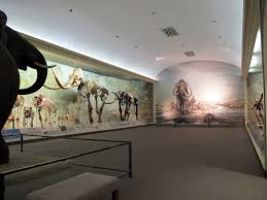 the Nebraska State Museum