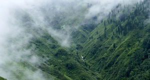 3 Days 2 Nights Coorg Tour Package