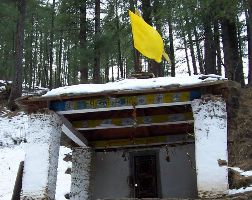 4 Days 3 Nights auli Tour Package by NORTH STAR TRAVEL WORLD