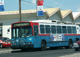 ABQ Trolley Co 