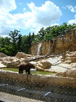 The Assiniboine Park And Zoo 