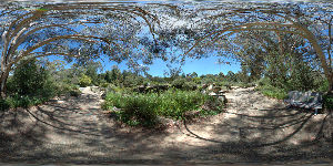 Australian National Botanic Gardens