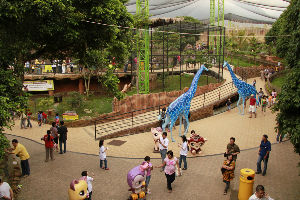 Batu Secret Zoo