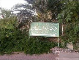 Uthman ibn Affan Farm & Well