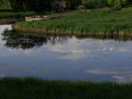 Bluff Lake Nature Center