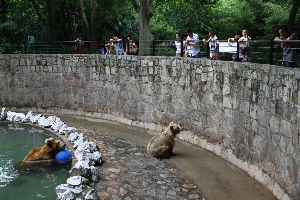 Shanghai Zoo 